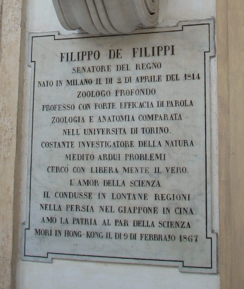 Filippo De Filippi s bust, University of Turin central seat, Turin, Italy - 03.JPG